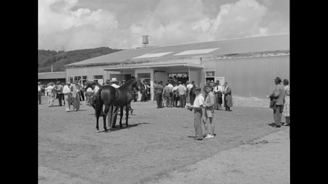 NZB's 100th National Yearling Sale | James Jennings
