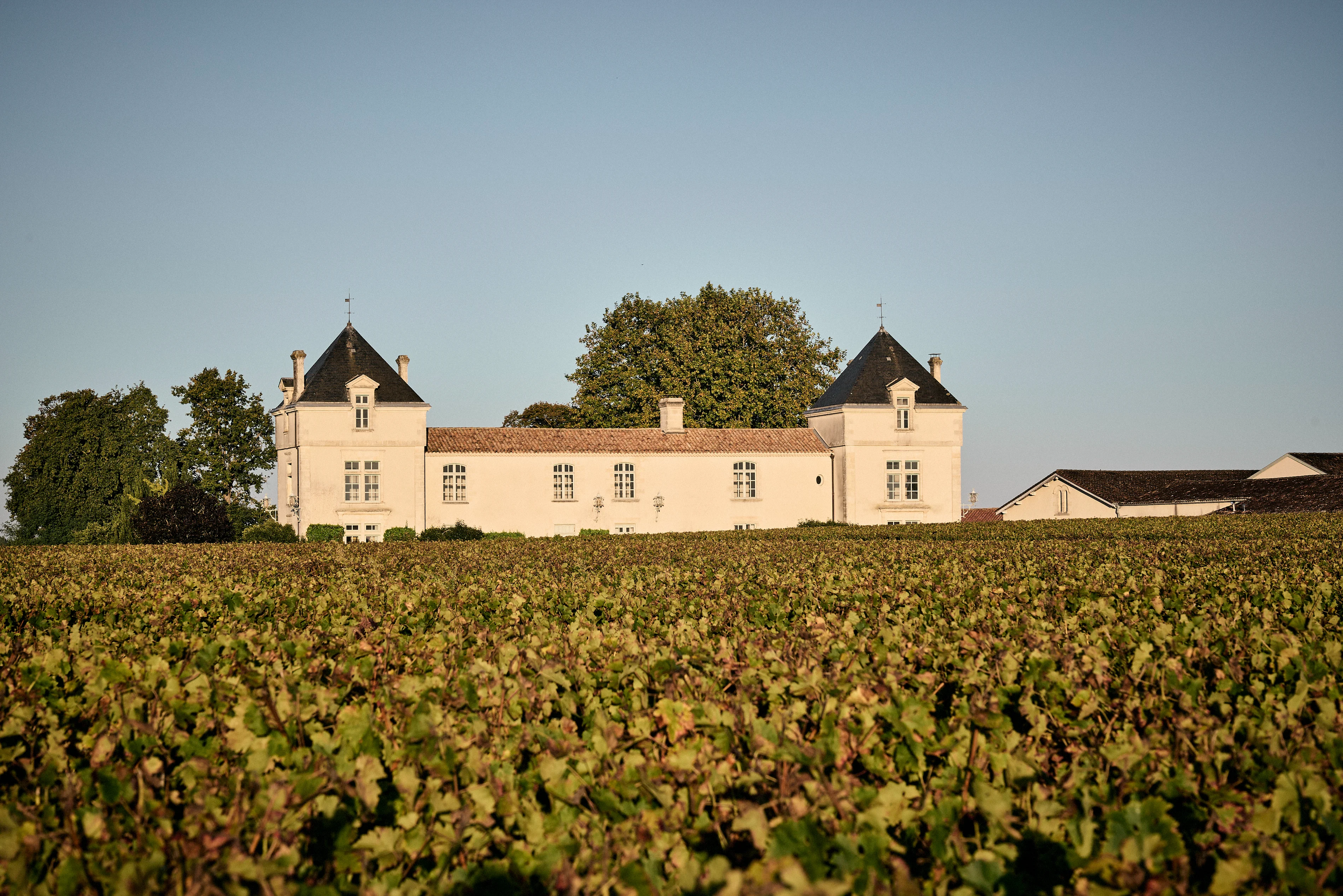 シャトー - Château de PezChâteau de Pez