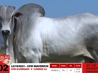 Lote 02
