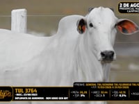 Lote 201