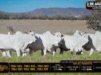 Lote 212