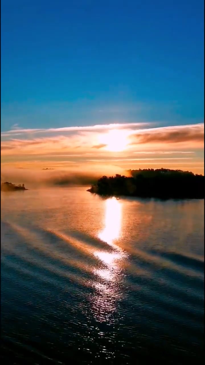 https://i.vimeocdn.com/video/2040839638-772a9d48739017dded43b6ad3d7a0dab0d38396851f9e976958f83a2ce662c8f-d