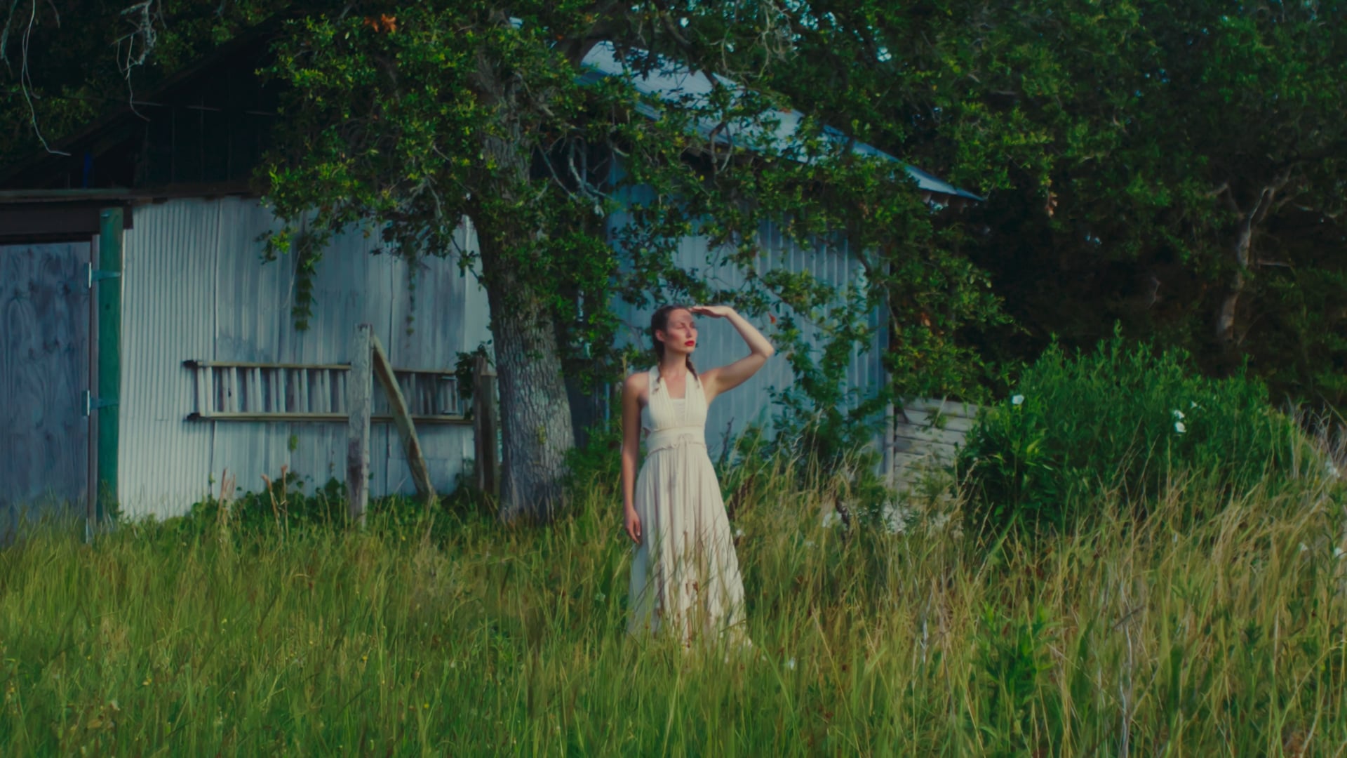 finding a book to live in