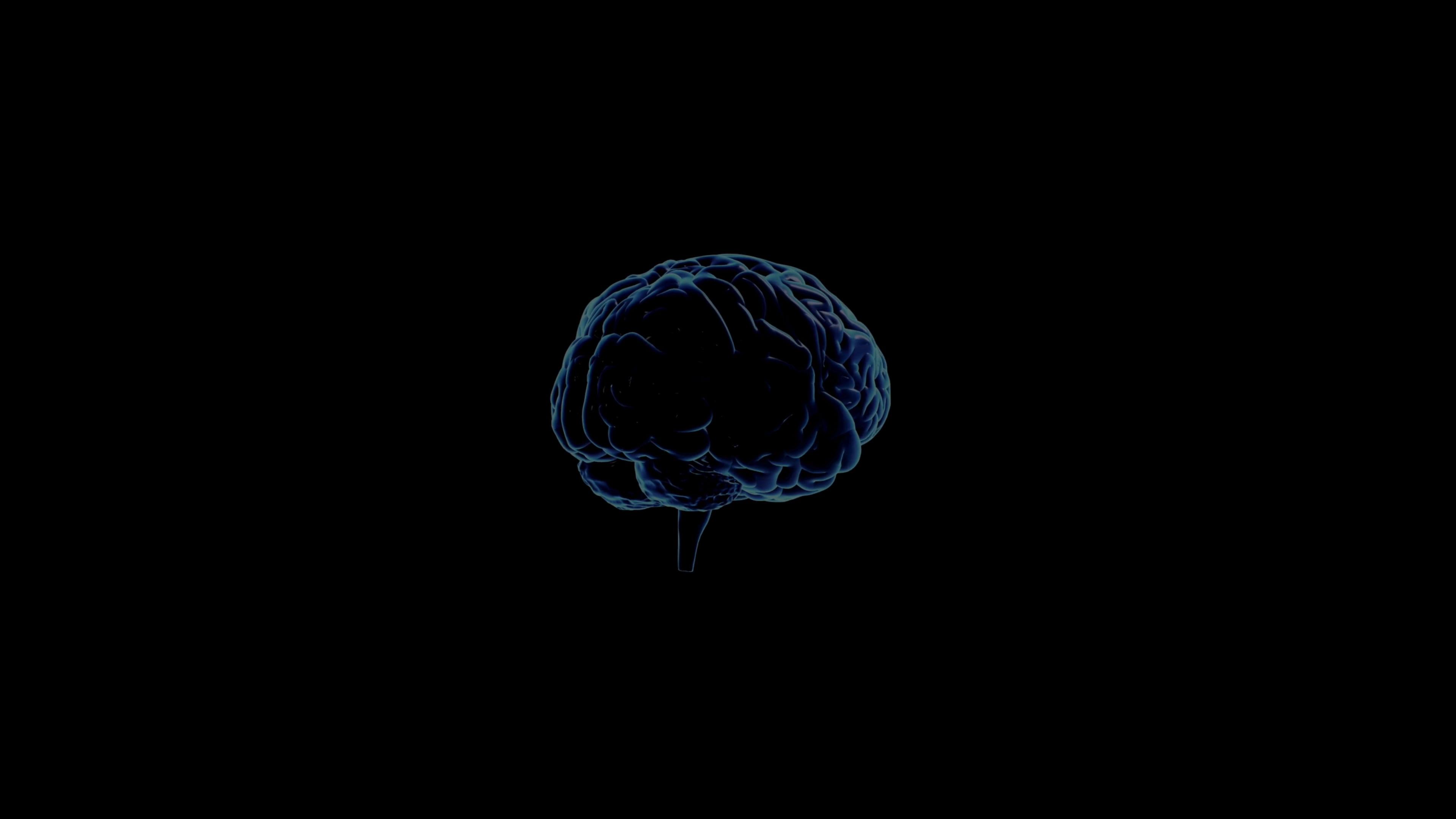 https://i.vimeocdn.com/video/2041005175-41622ffa0b0a6538684ff11836e2164c25c0393d694e7623235d75e5032060e3-d