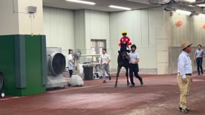 動画サムネイル