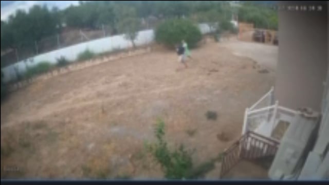 Καλαμάτα Μεσσηνίας: Αστυνομικός με περίστροφο πυροβόλησε και σκότωσε σκύλο συγγενών του 23-7-2024