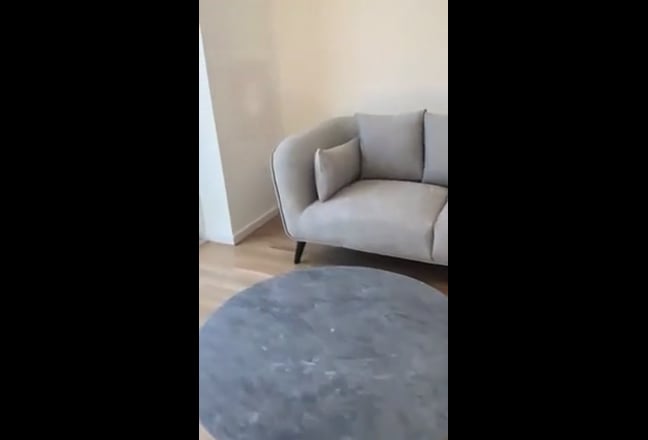 Video 1: