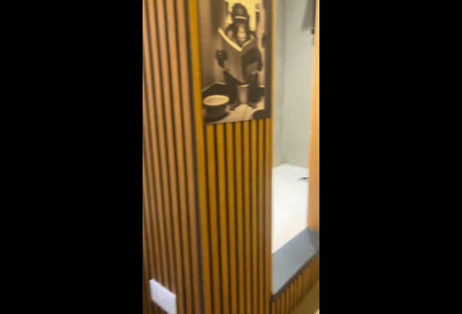 Video 1: