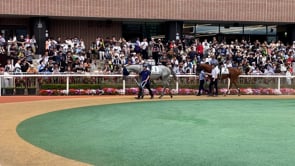 動画サムネイル