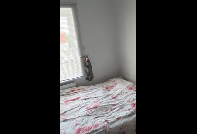 Room in a 3-bed apartment  Main Photo