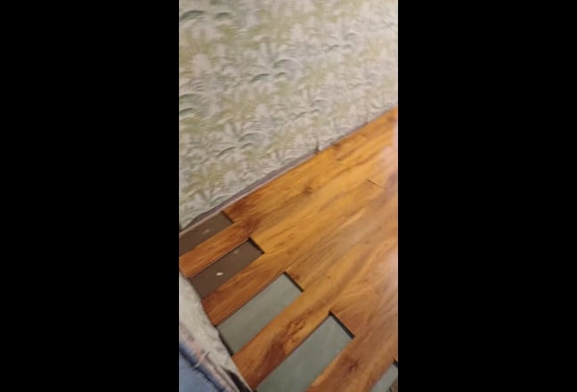 Video 1: