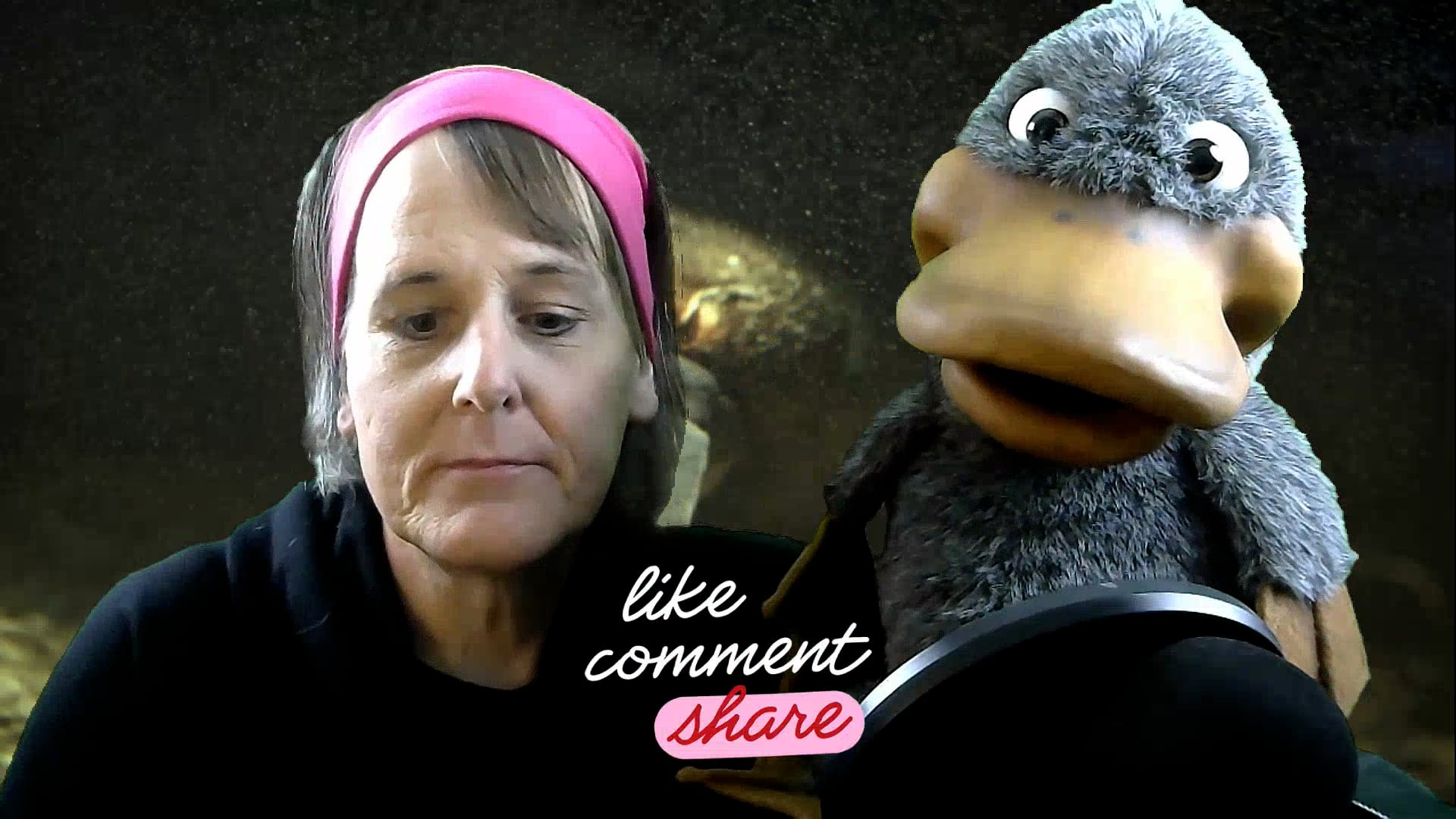 Promotional video thumbnail 1 for Sile Michaela Ventriloquist