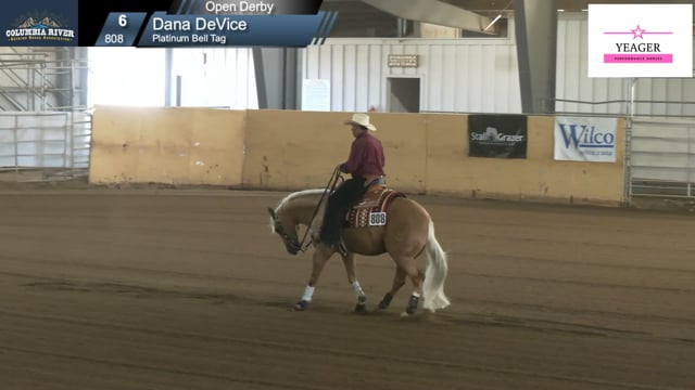 #808 Dana DeVice