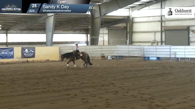 #824 Sandy K Day