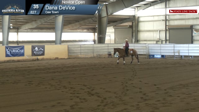 #827 Dana DeVice (2)