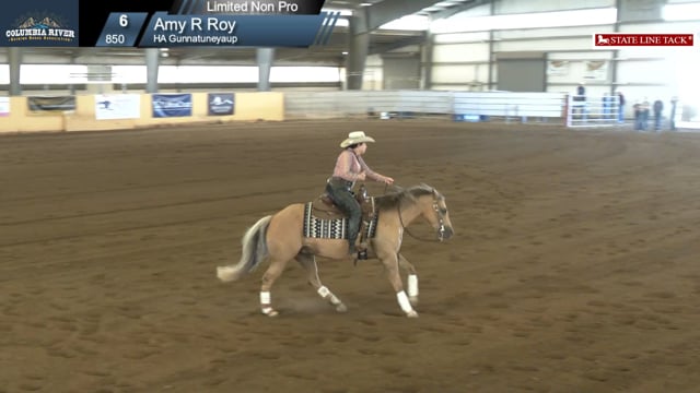 #850 Amy R Roy