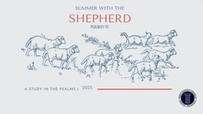Psalm 69; Rev. Josh Motta; July 27 2025