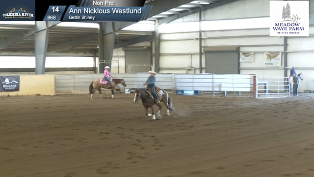 #868 Ann Nicklous Westlund (2)
