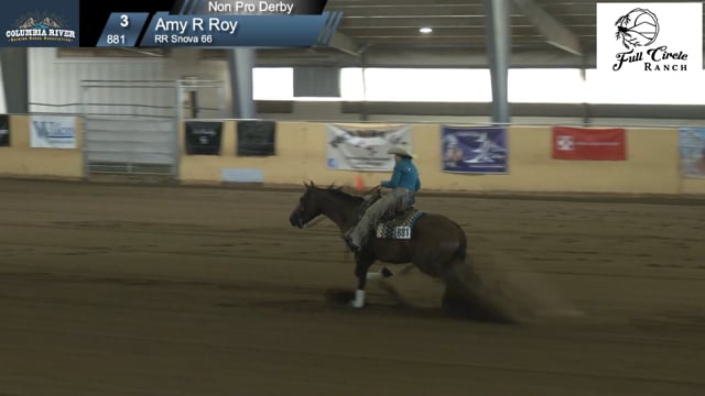 #881 Amy R Roy