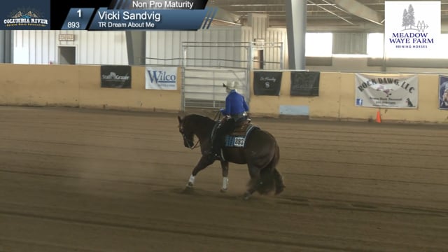 #893 Vicki Sandvig
