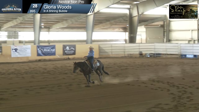 #895 Gloria Woods