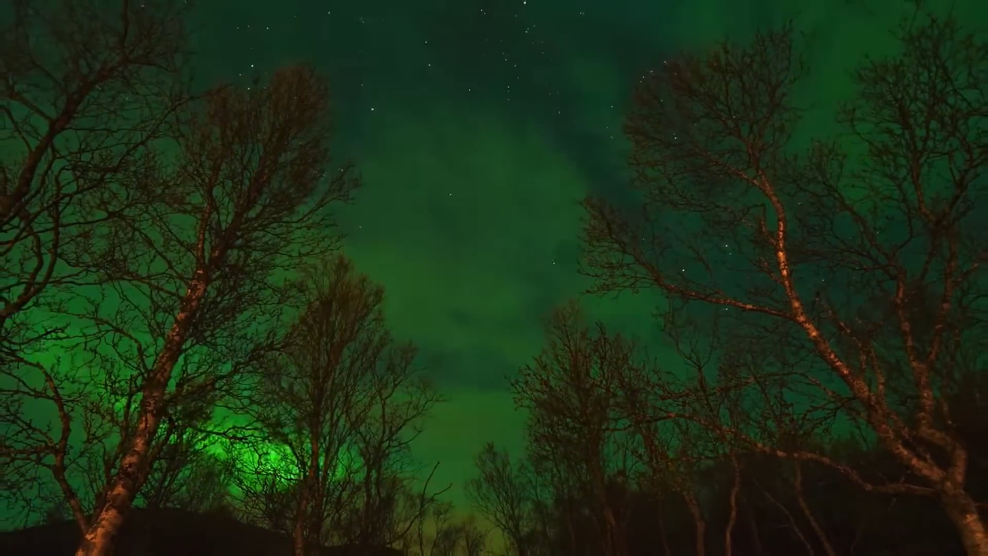 https://i.vimeocdn.com/video/2041494915-5deaa400917f6856d6e53a7949314789434264e5a893e916b7d361676767e423-d