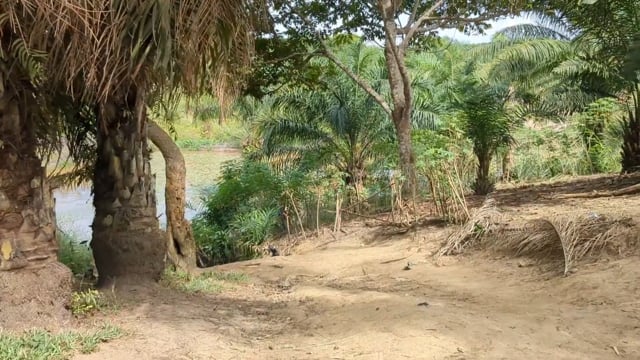 Nos puits sont sales