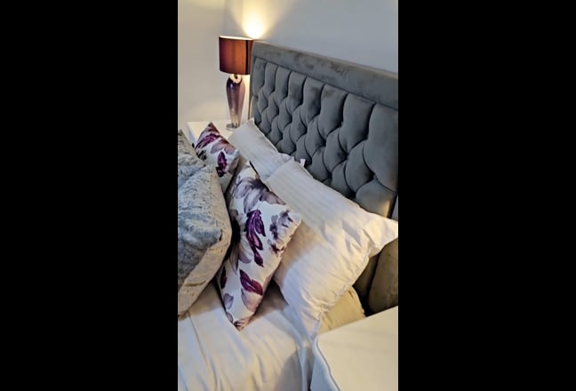 Video 1: