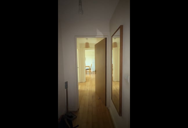 Video 1:
