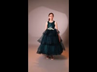 Robe de cérémonie BER4760
