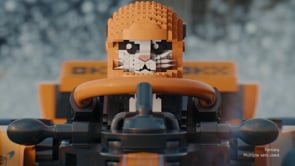 Thumbnail for video 1105173615