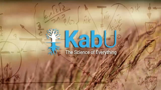 Jul 27, 2025 – Attaining the Real Deficiency & the Arvut