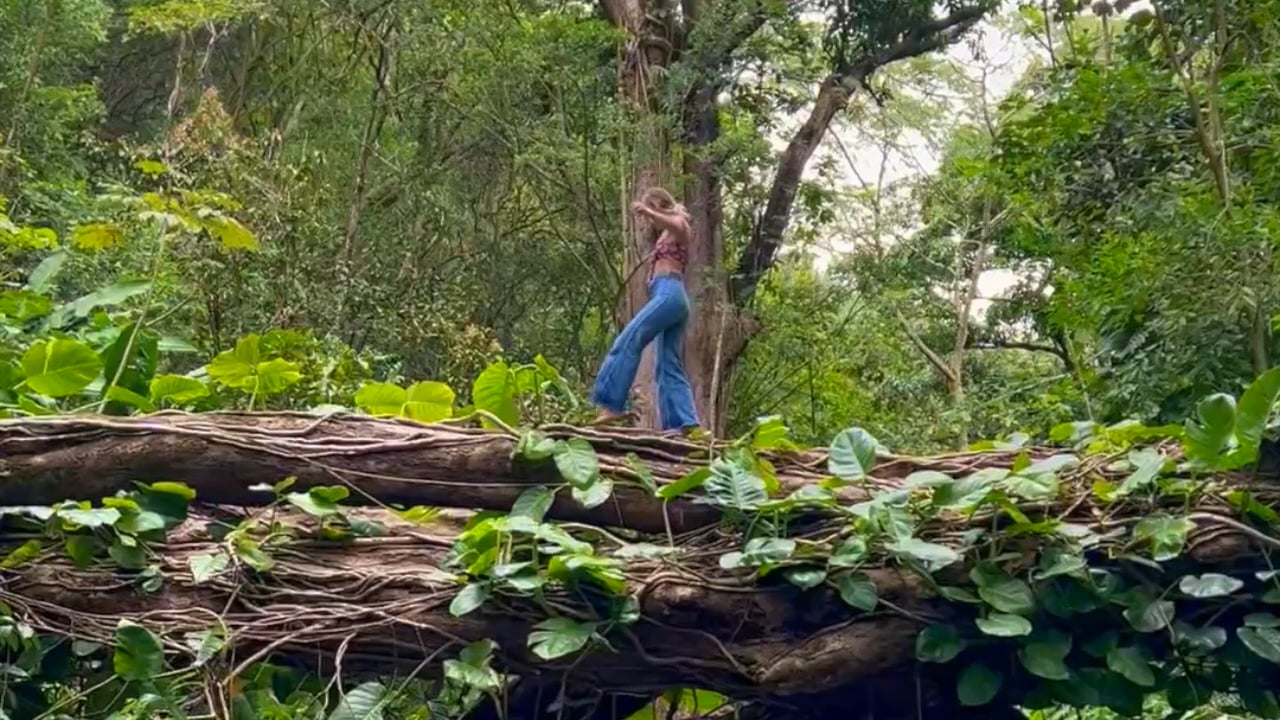https://i.vimeocdn.com/video/2041689042-5a3694f21b02e2fa664f44f497dfbc8d473336dd6b013ae11b9aad05096cc37b-d