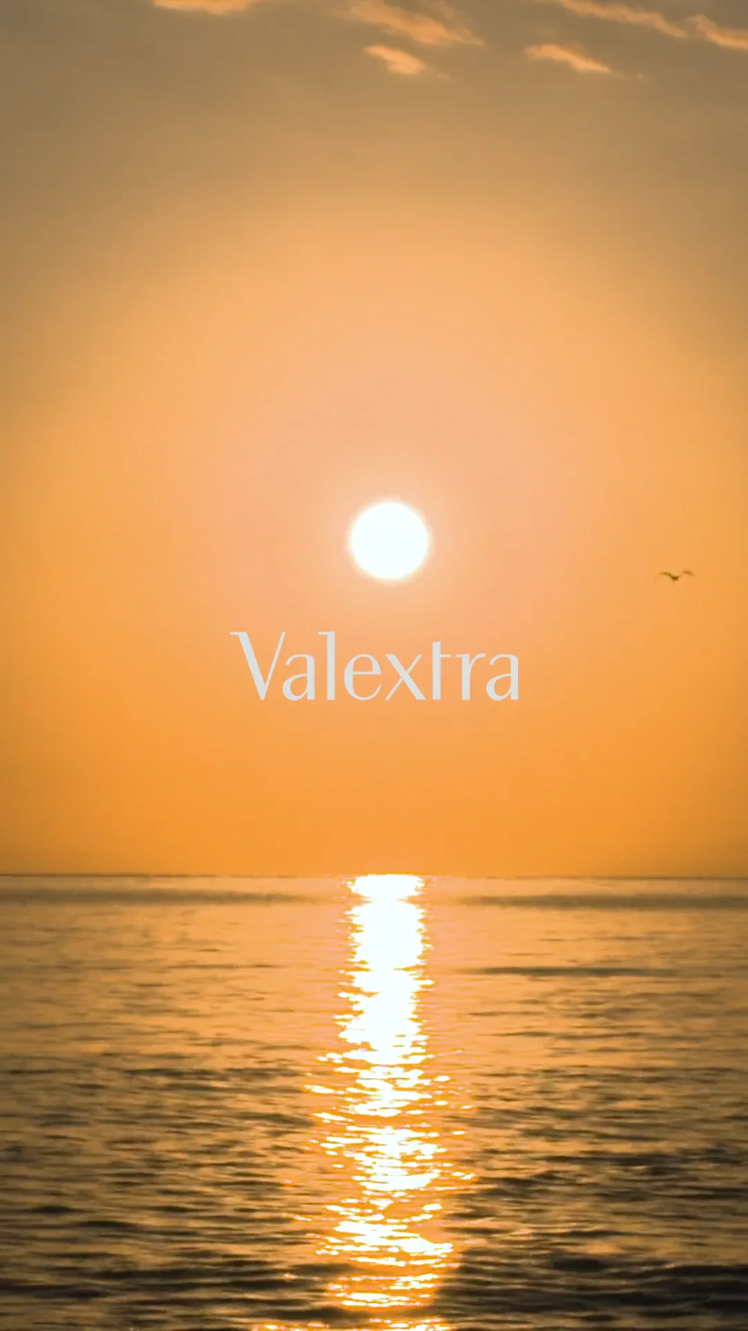 VALEXTRA WBES0036389IOC99WWNN 関税送料込 Italian leather handcrafted bags | Women and Men | Valextra