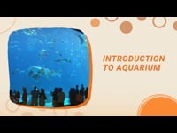 Module 01: Introduction to Aquariums	