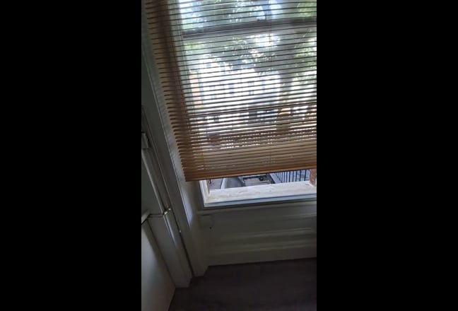 Video 1: