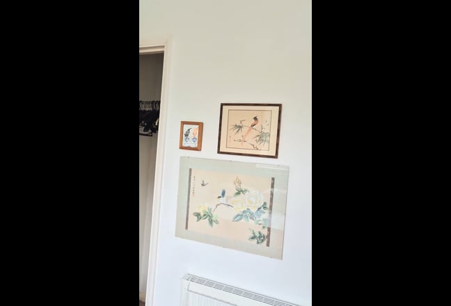 Large, warm, sunny double room  Main Photo
