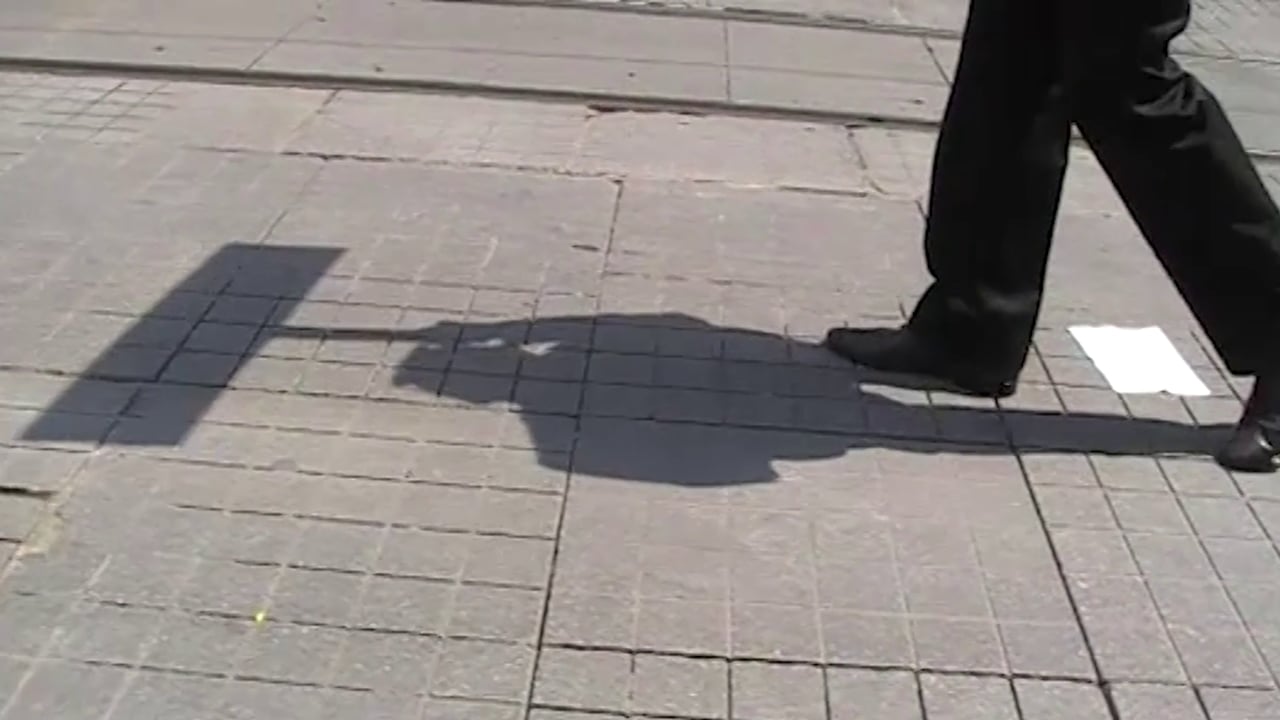 Follow Me / Performance by Roi Vaara