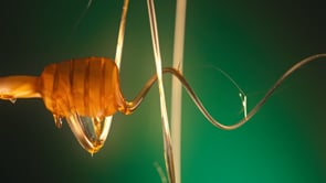 Related Embedded Video Item Thumbnail