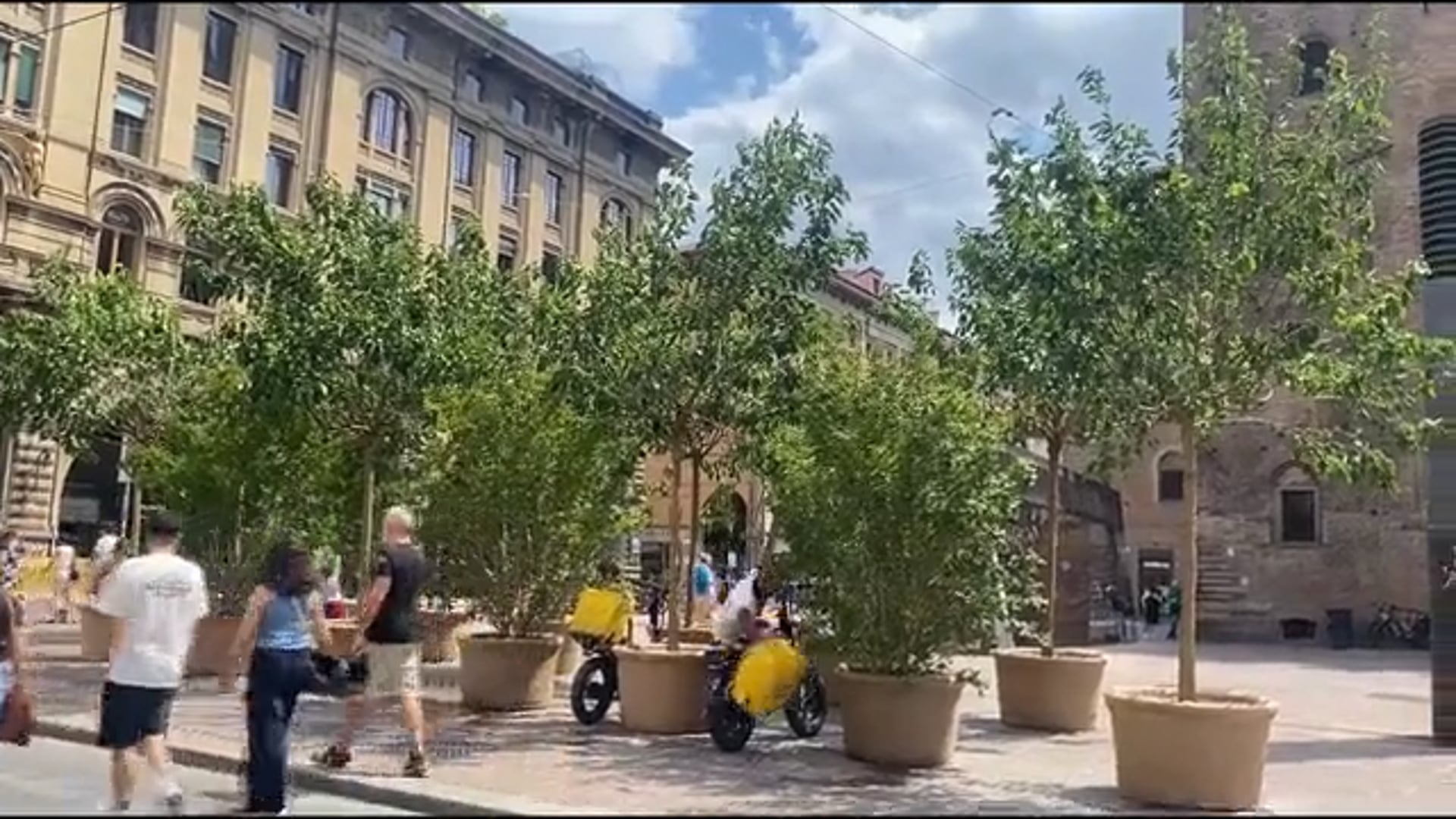 Alberelli anti-caldo, la polemica prosegue