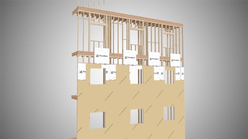 Video Image