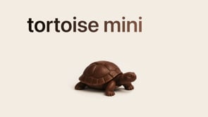 Related Embedded Video Item Thumbnail