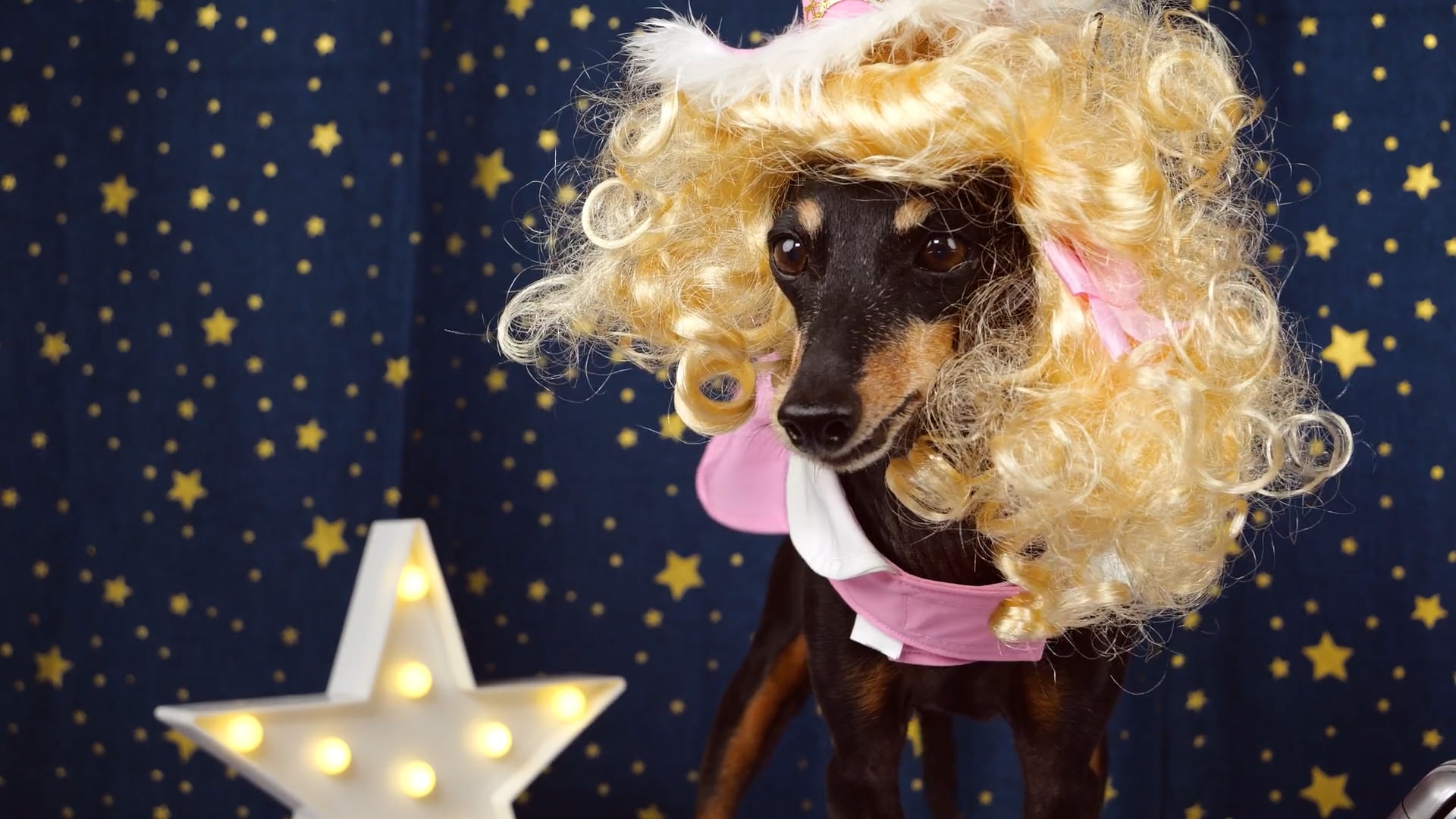 "9 to 5" starring Doggy Parton