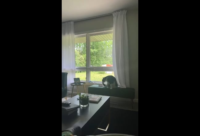 Looking for a Responsible Roommate  Main Photo