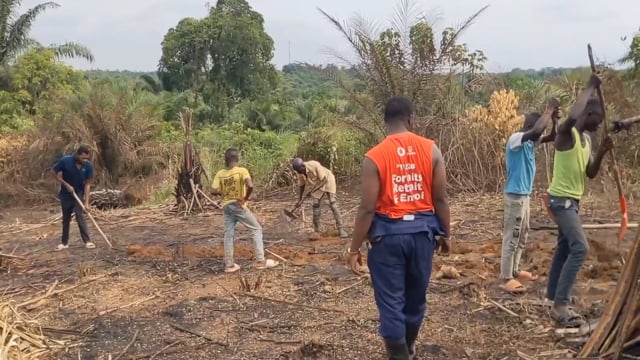 Planter reste difficile