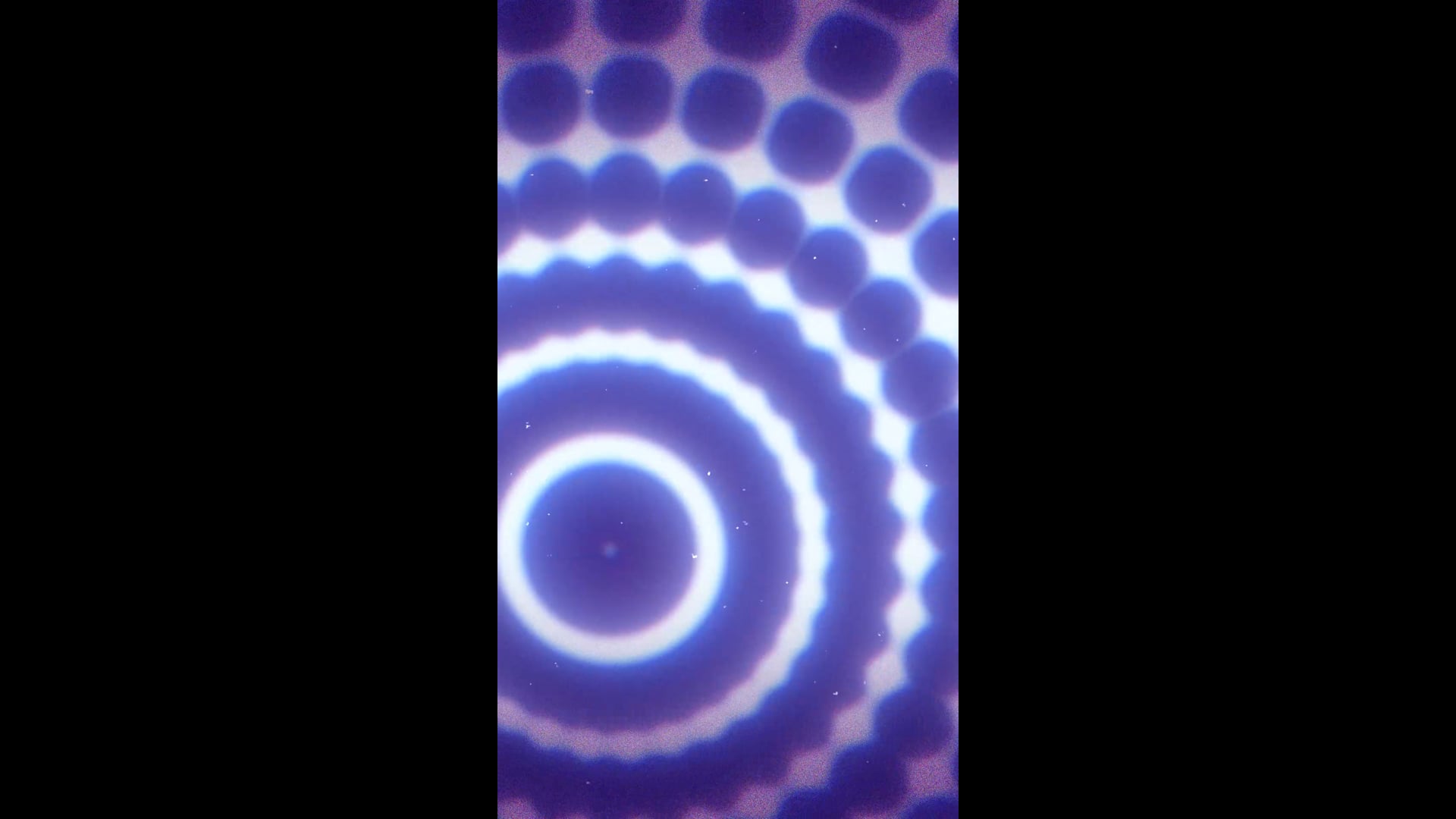 Animation | Terence Braun