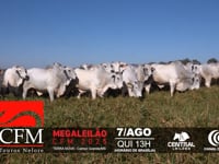Grandes Criatórios<br>CFM