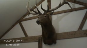Related Embedded Video Item Thumbnail