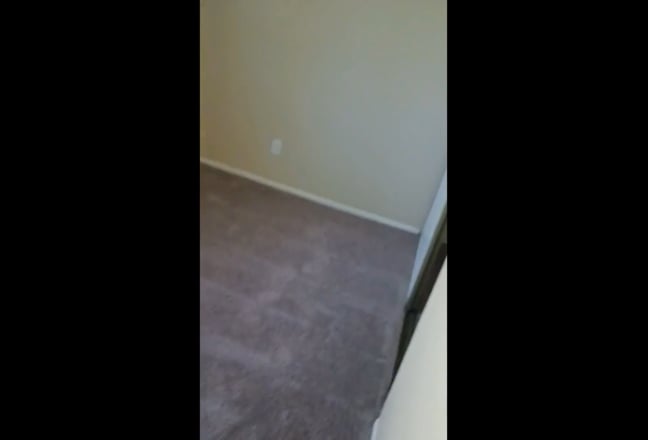 Roommate wanted Main Photo