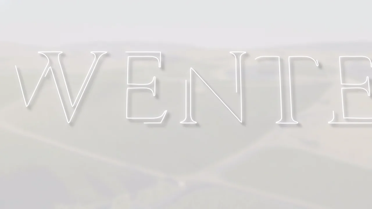 2022 Beyer Ranch Zinfandel | Wente Vineyards